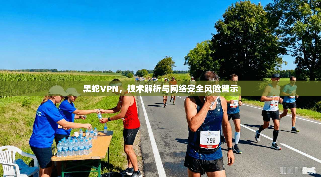 黑蛇VPN,技术解析与网络安全风险警示
