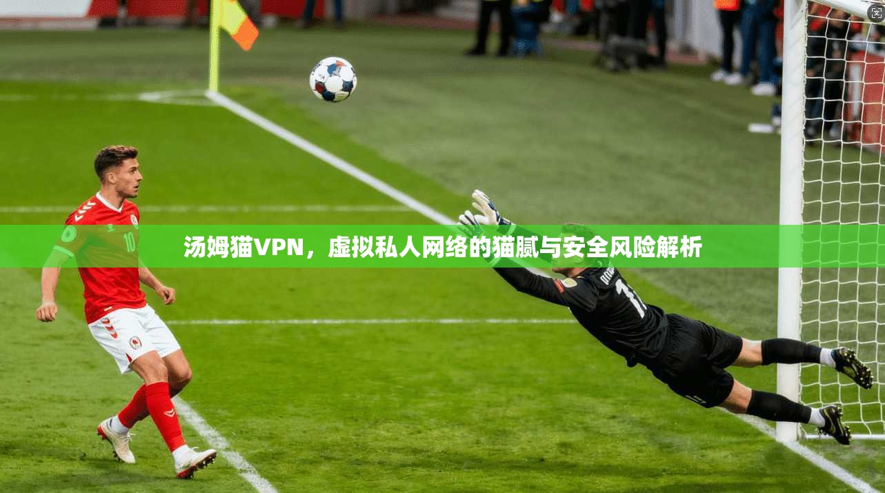 汤姆猫VPN，虚拟私人网络的猫腻与安全风险解析