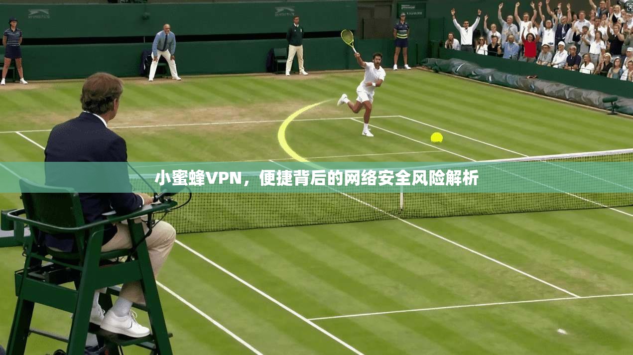 小蜜蜂VPN,便捷背后的网络安全风险解析