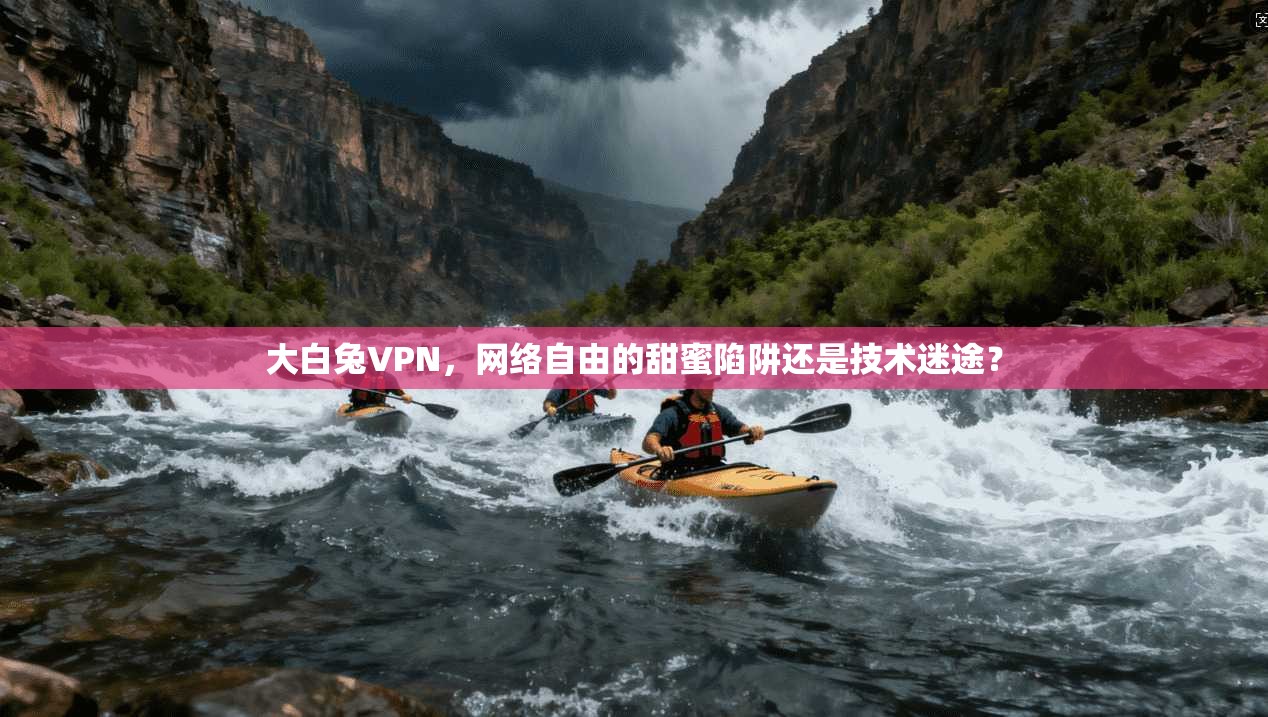 大白兔VPN,网络自由的甜蜜陷阱还是技术迷途?
