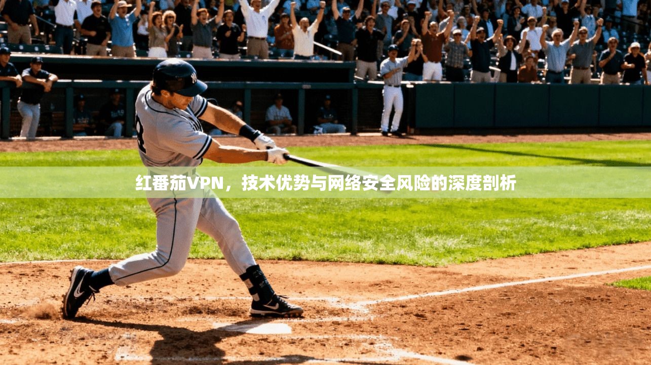 红番茄VPN，技术优势与网络安全风险的深度剖析