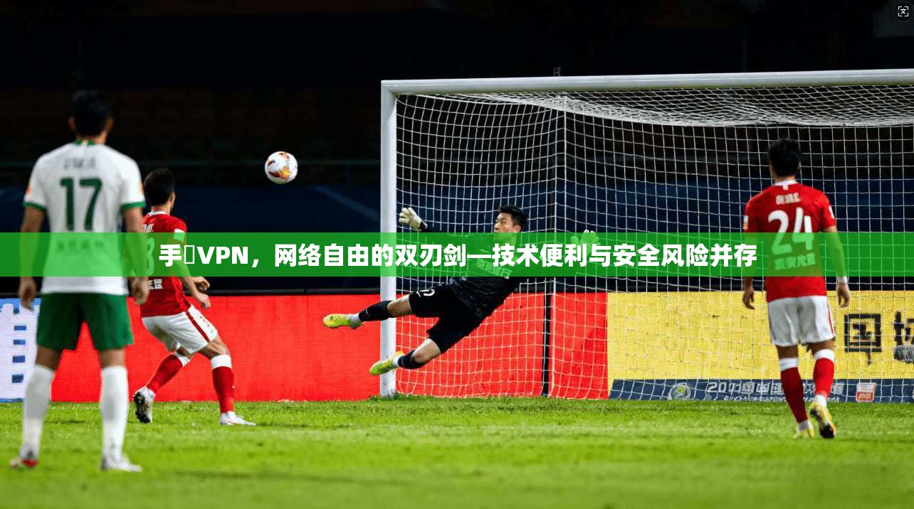 手檆VPN，网络自由的双刃剑—技术便利与安全风险并存