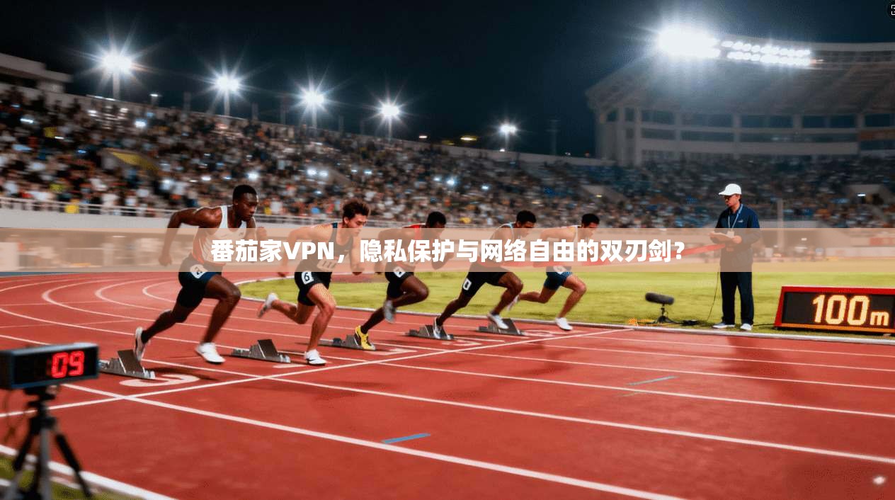 番茄家VPN，隐私保护与网络自由的双刃剑？