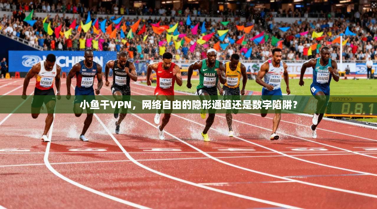小鱼干VPN，网络自由的隐形通道还是数字陷阱？