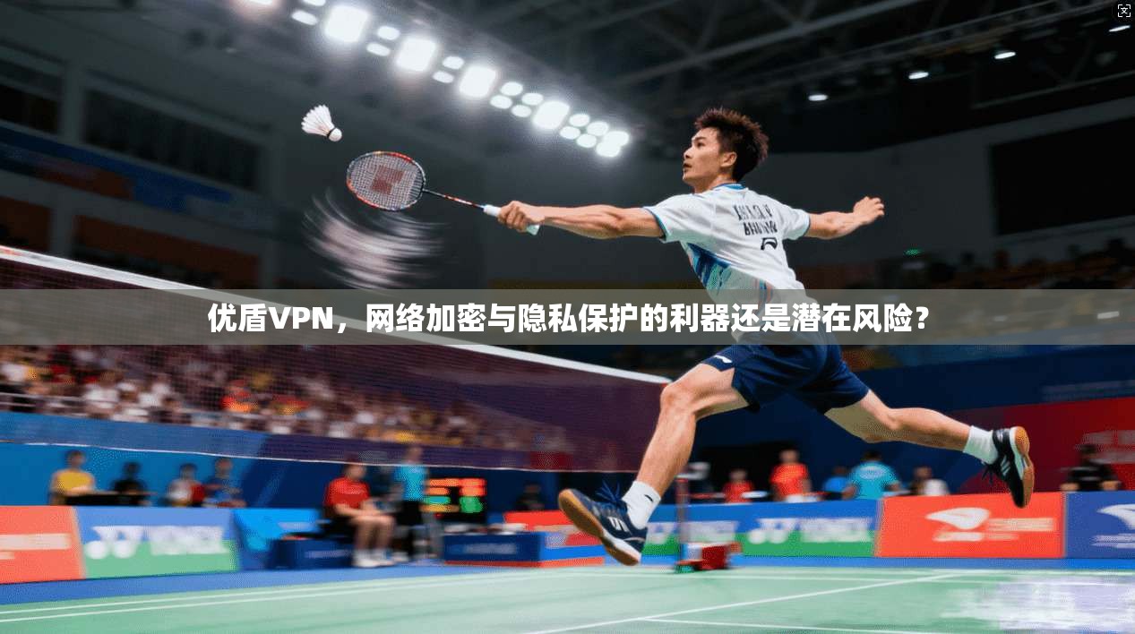 优盾VPN,网络加密与隐私保护的利器还是潜在风险?