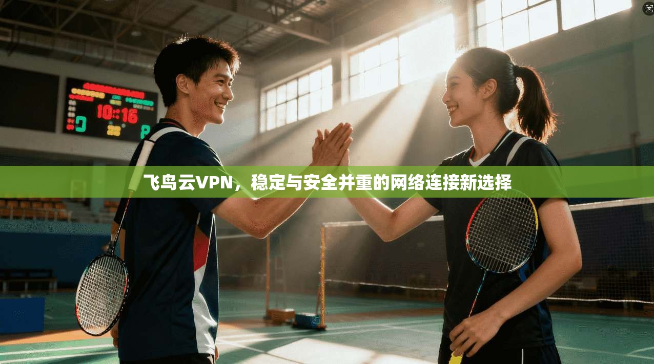 飞鸟云VPN,稳定与安全并重的网络连接新选择