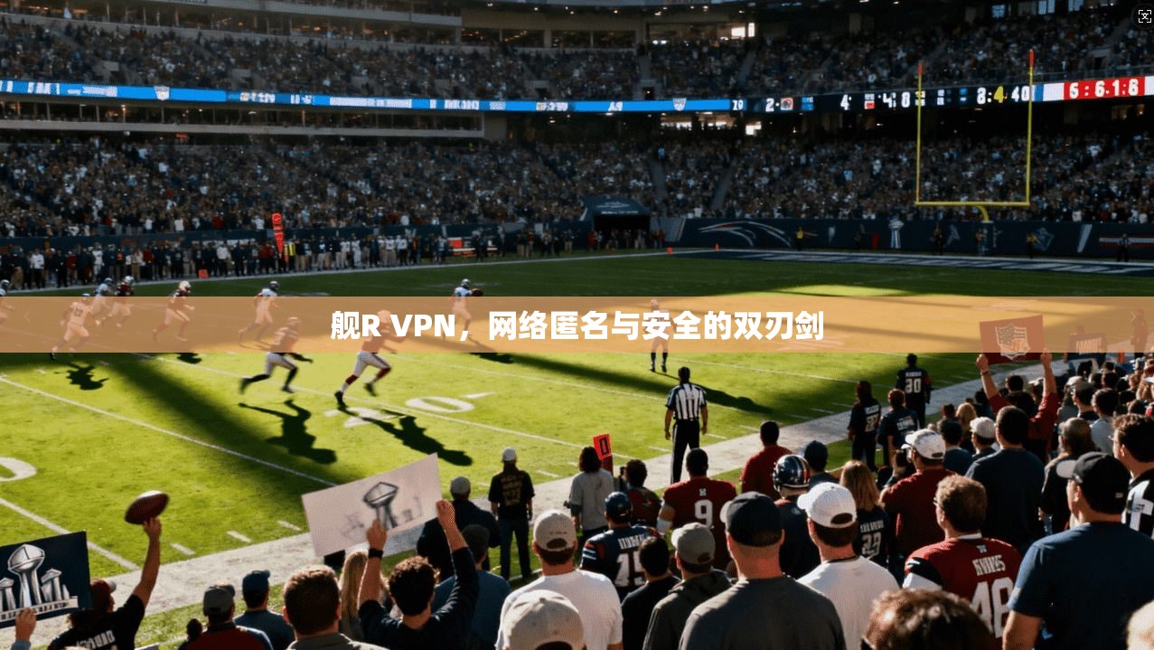 舰R VPN，网络匿名与安全的双刃剑