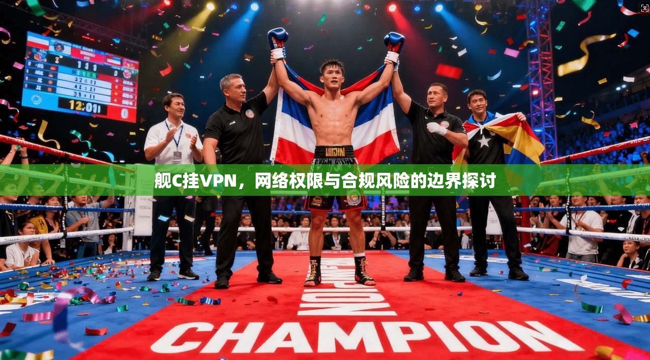 舰C挂VPN,网络权限与合规风险的边界探讨