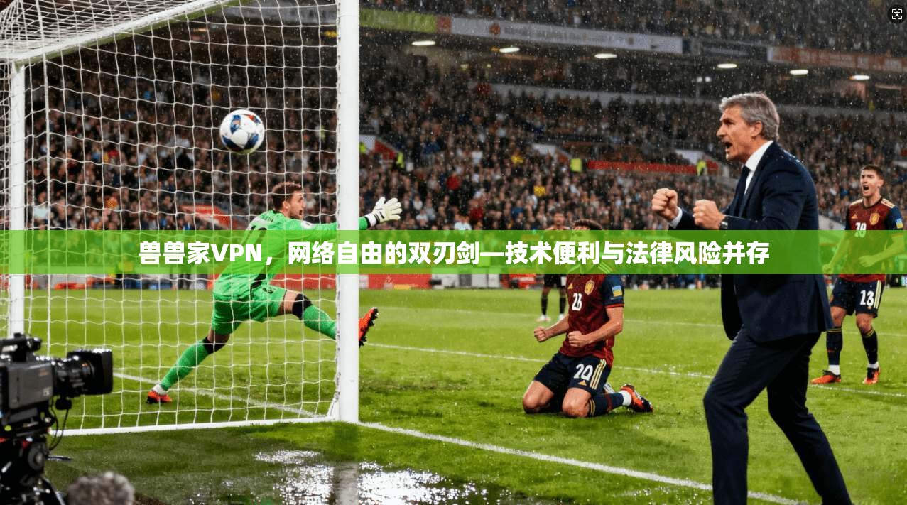 兽兽家VPN，网络自由的双刃剑—技术便利与法律风险并存