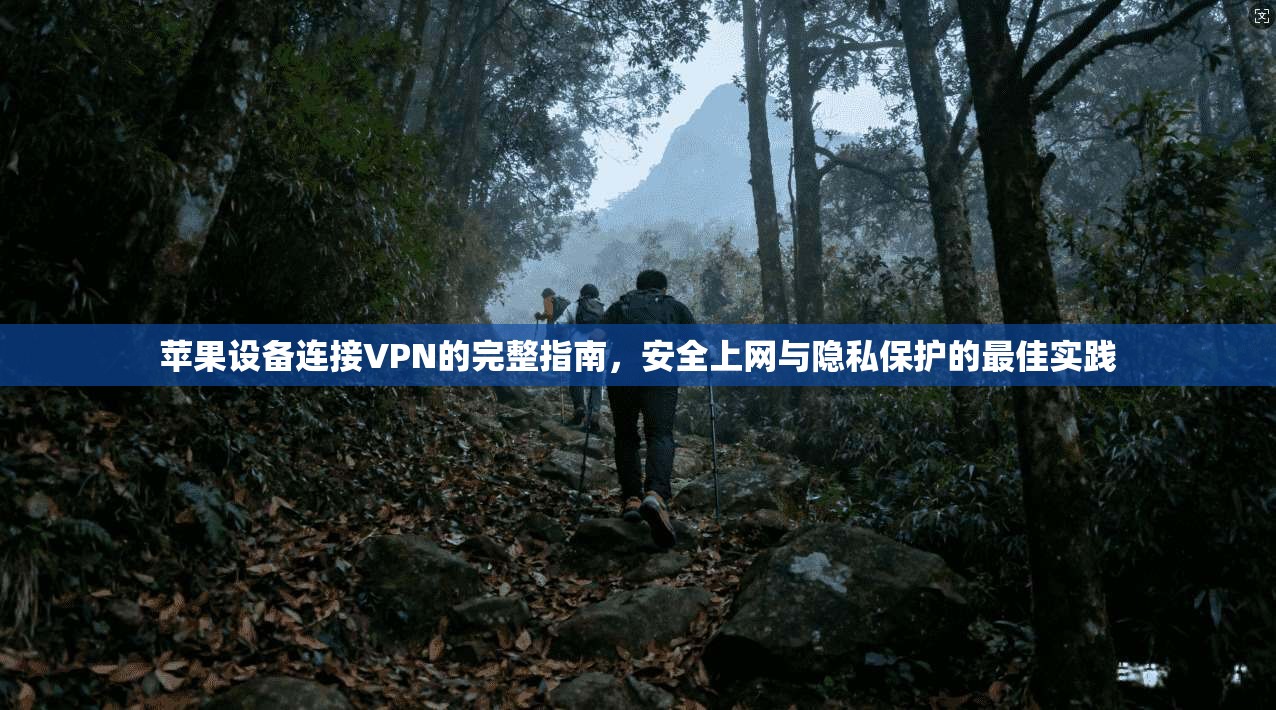 苹果设备连接VPN的完整指南,安全上网与隐私保护的最佳实践