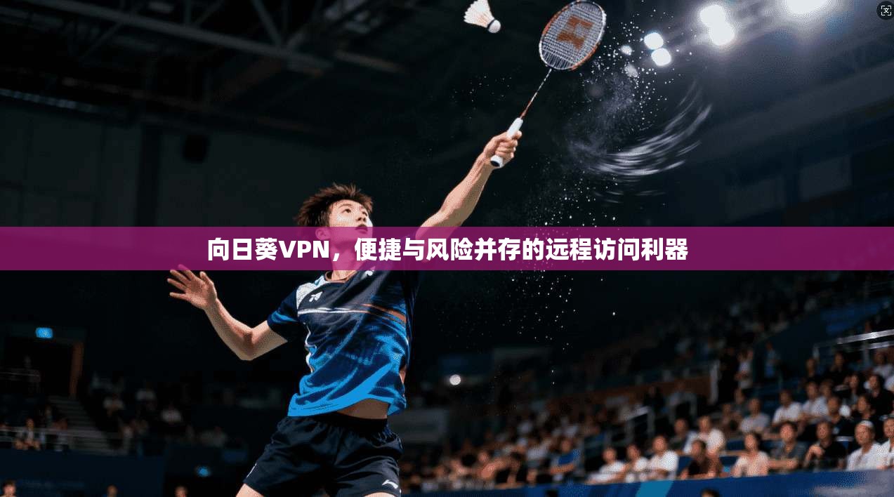 向日葵VPN，便捷与风险并存的远程访问利器