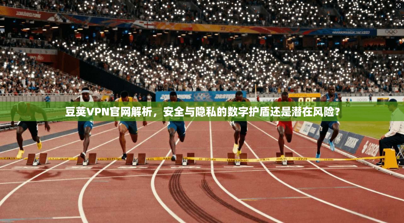 豆荚VPN官网解析,安全与隐私的数字护盾还是潜在风险?