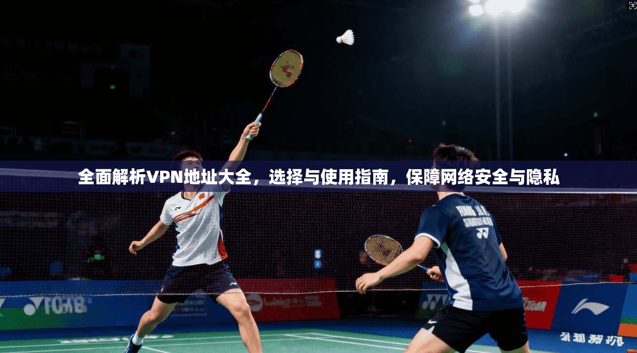 全面解析VPN地址大全，选择与使用指南，保障网络安全与隐私
