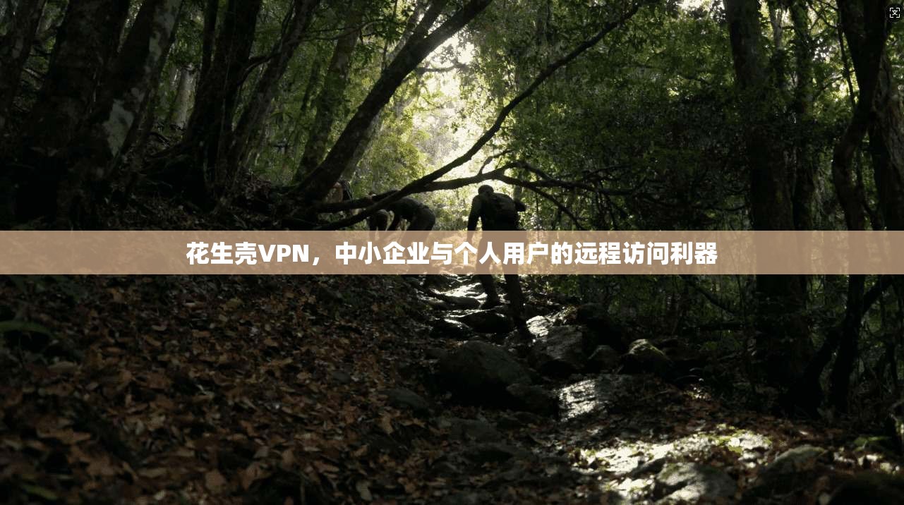 花生壳VPN，中小企业与个人用户的远程访问利器