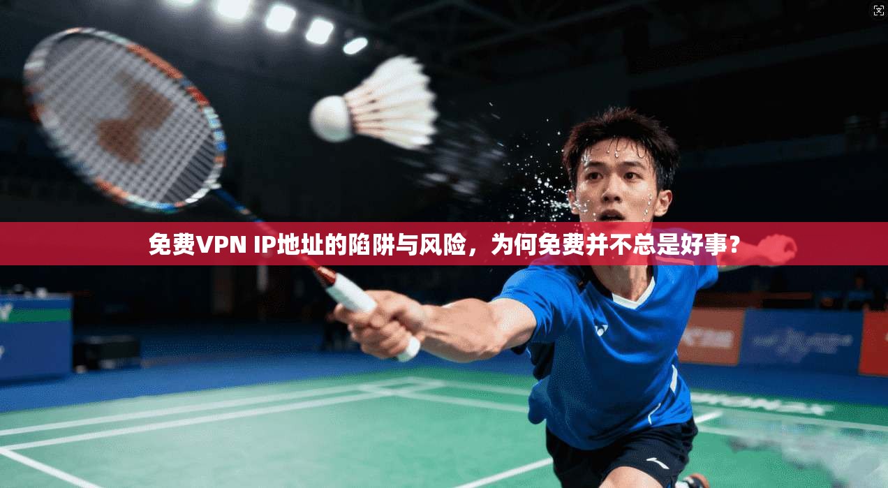 免费VPN IP地址的陷阱与风险，为何免费并不总是好事？