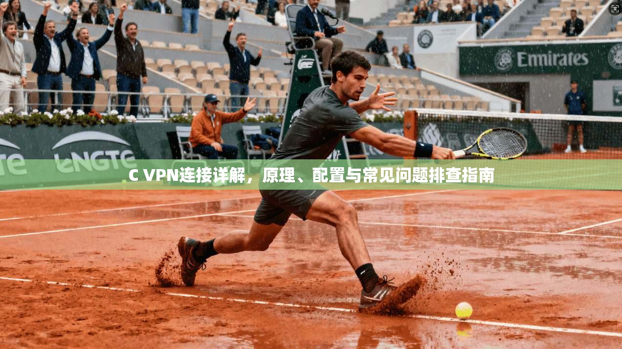 C VPN连接详解，原理、配置与常见问题排查指南