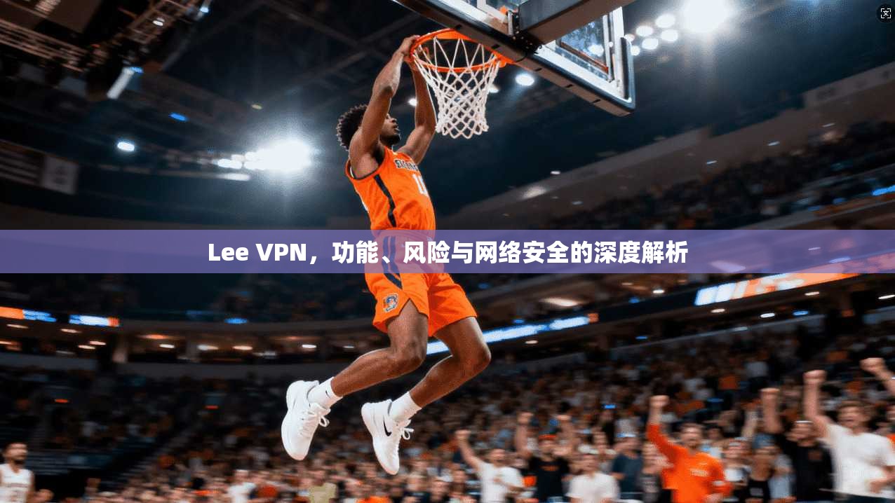 Lee VPN，功能、风险与网络安全的深度解析