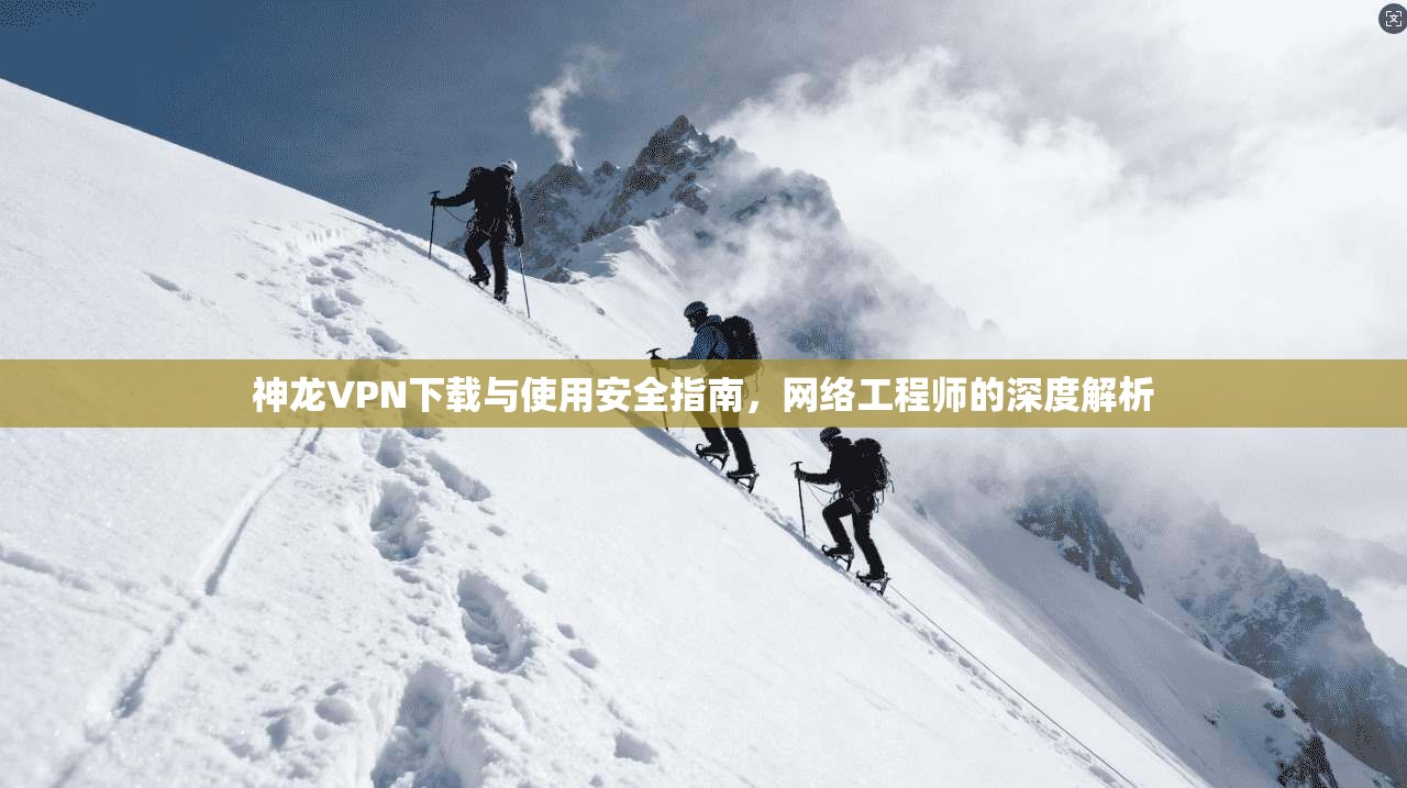 神龙VPN下载与使用安全指南，网络工程师的深度解析