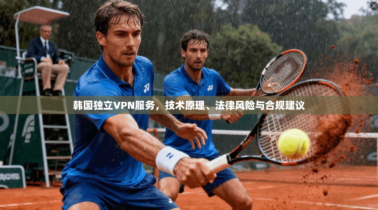 韩国独立VPN服务，技术原理、法律风险与合规建议
