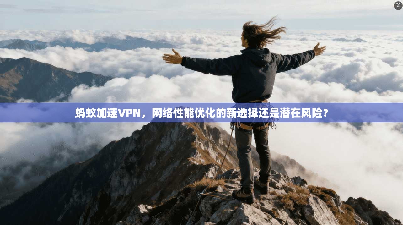蚂蚁加速VPN，网络性能优化的新选择还是潜在风险？