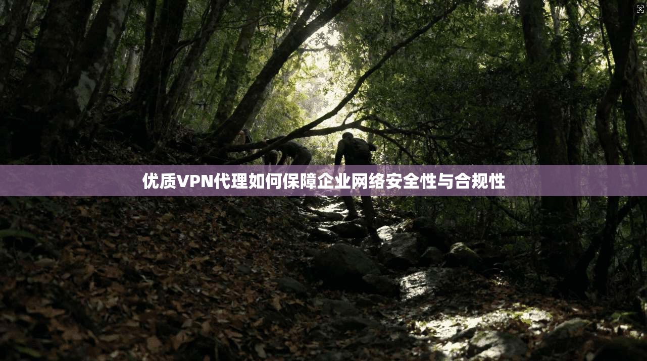 优质VPN代理如何保障企业网络安全性与合规性