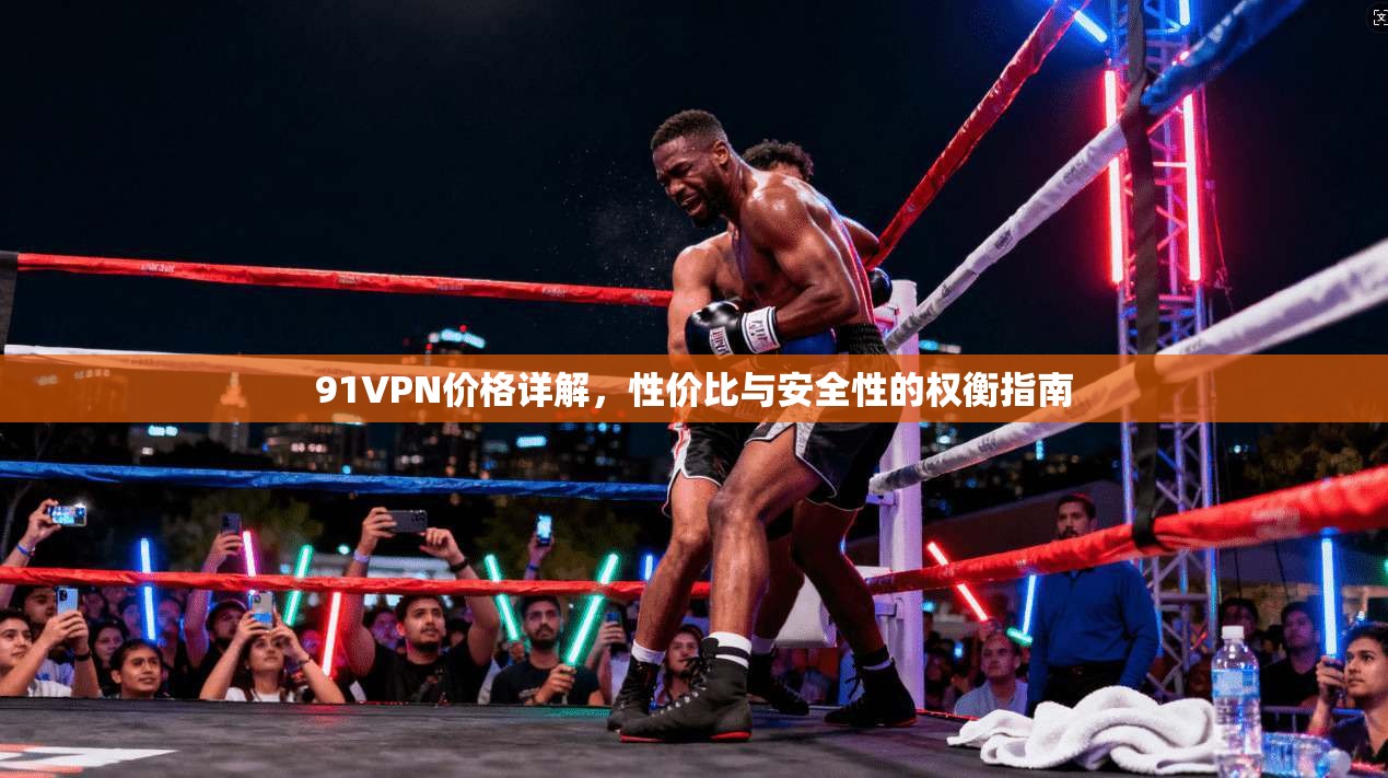 91VPN价格详解，性价比与安全性的权衡指南