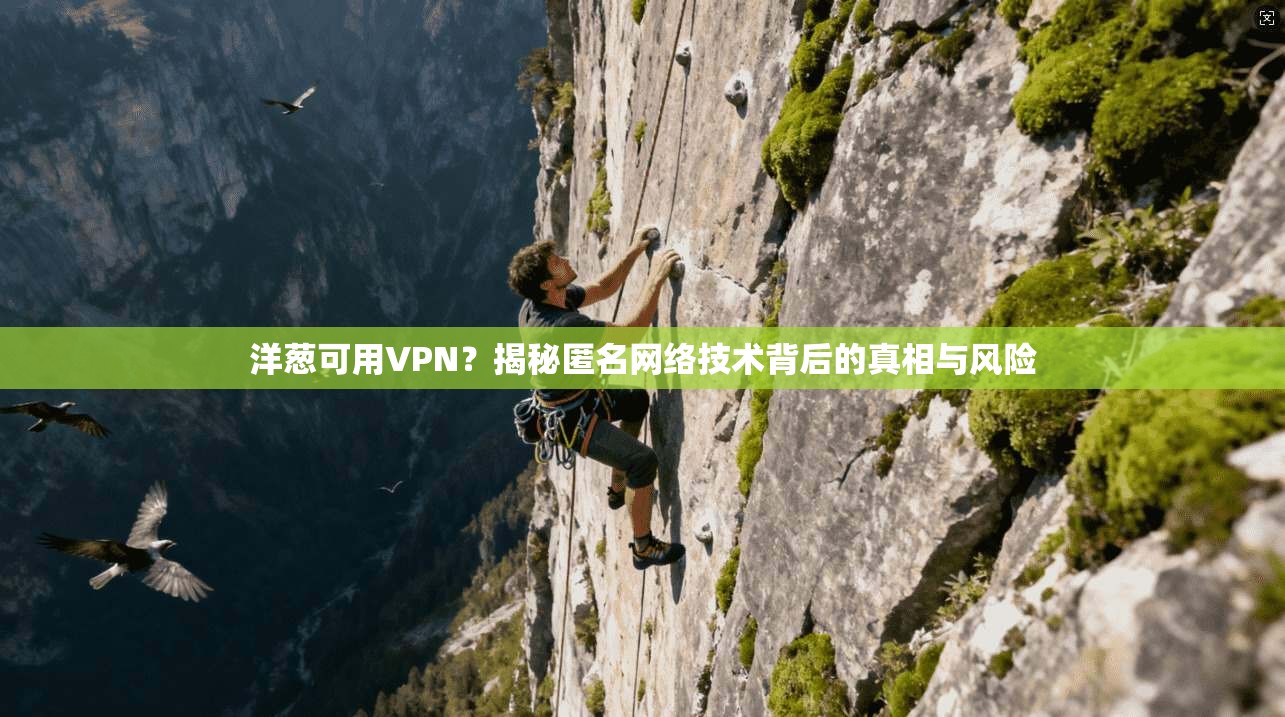 洋葱可用VPN？揭秘匿名网络技术背后的真相与风险