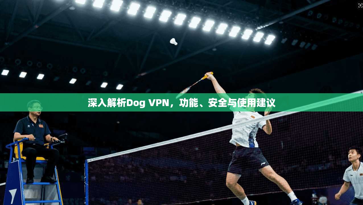 深入解析Dog VPN，功能、安全与使用建议