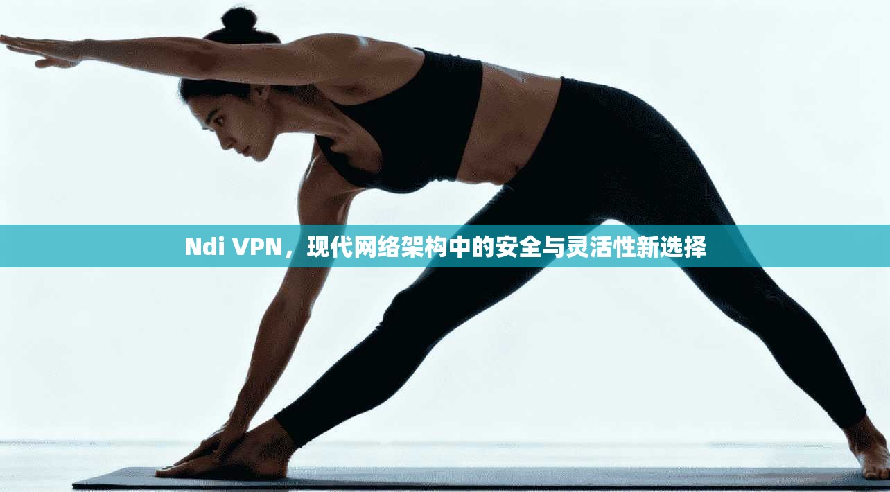 Ndi VPN，现代网络架构中的安全与灵活性新选择