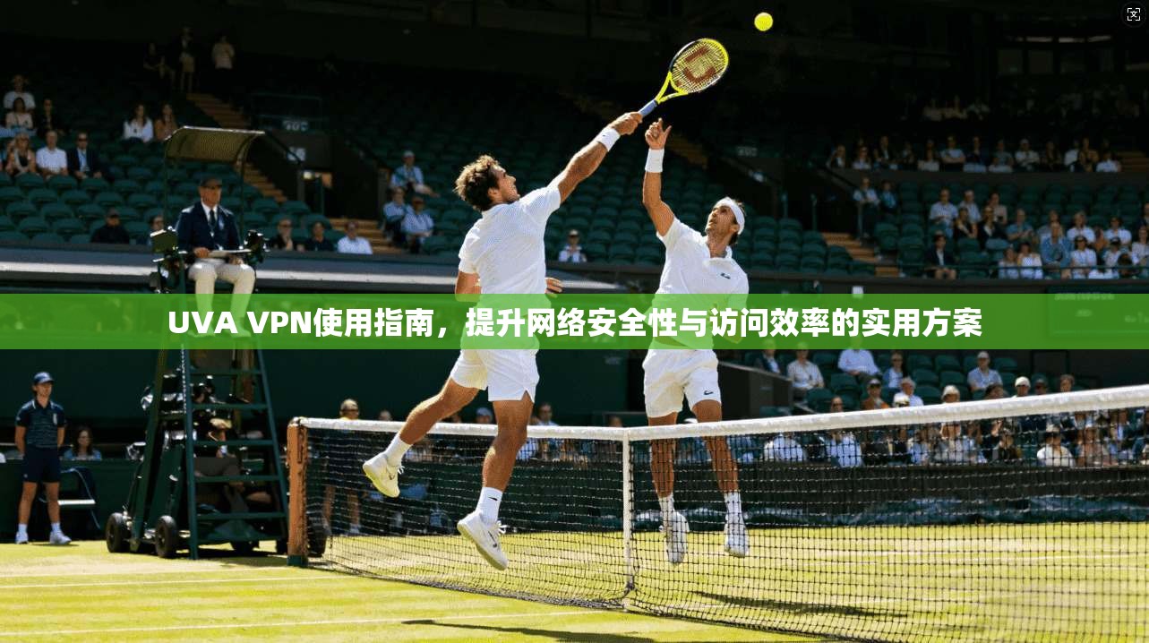 UVA VPN使用指南，提升网络安全性与访问效率的实用方案