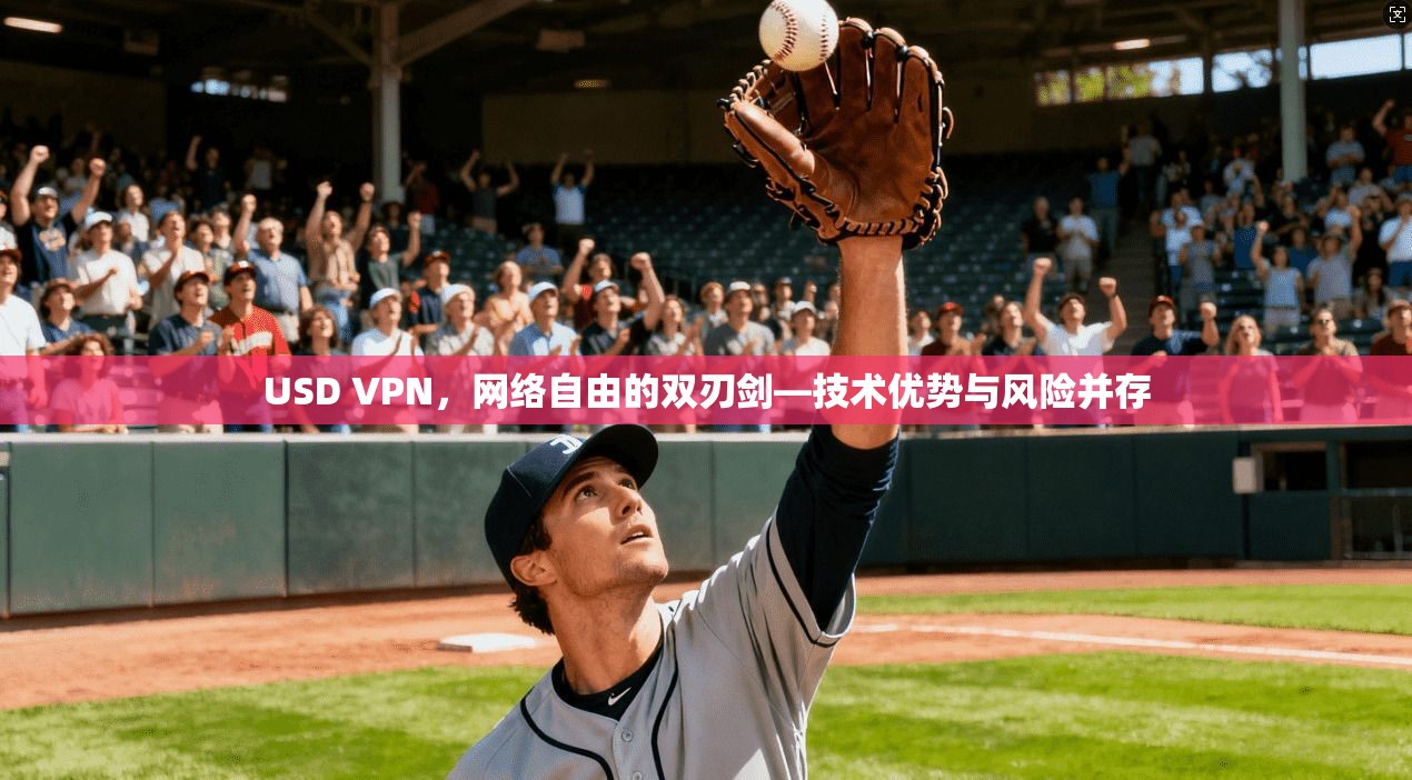 USD VPN，网络自由的双刃剑—技术优势与风险并存