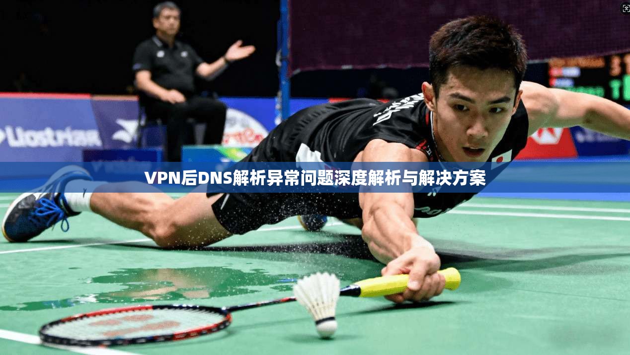 VPN后DNS解析异常问题深度解析与解决方案