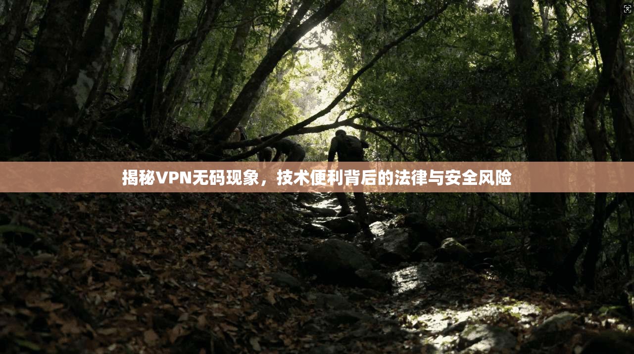 揭秘VPN无码现象，技术便利背后的法律与安全风险