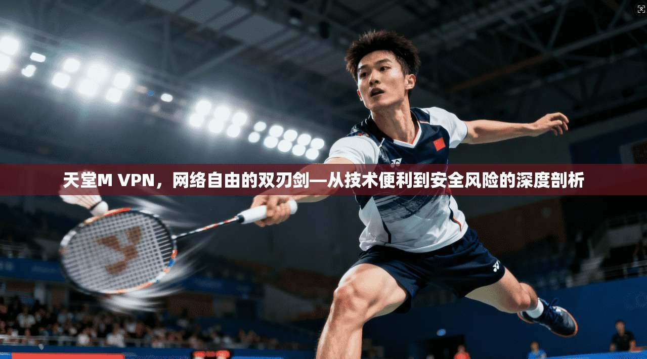 天堂M VPN，网络自由的双刃剑—从技术便利到安全风险的深度剖析