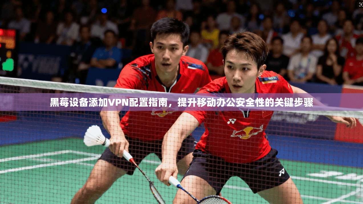黑莓设备添加VPN配置指南，提升移动办公安全性的关键步骤