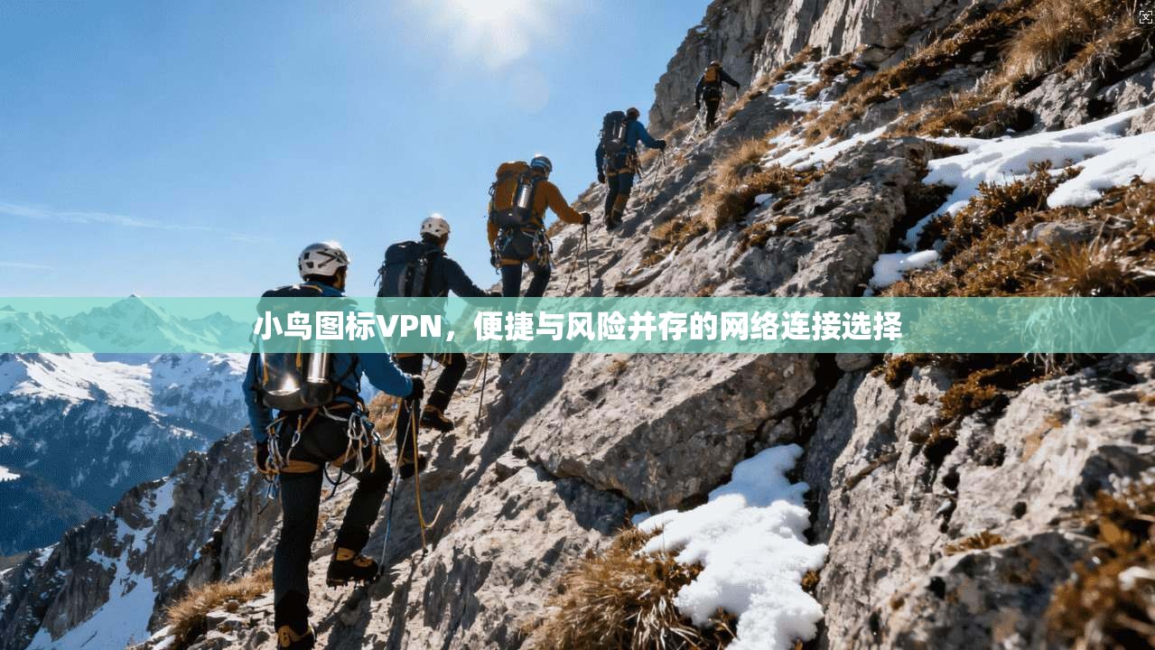 小鸟图标VPN，便捷与风险并存的网络连接选择