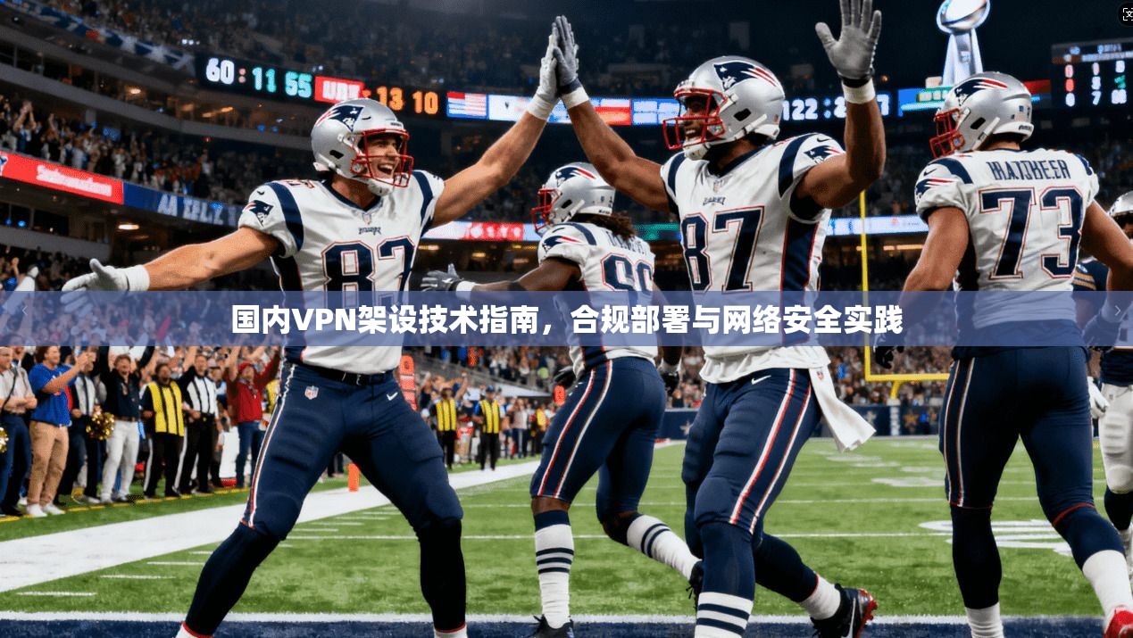 国内VPN架设技术指南，合规部署与网络安全实践