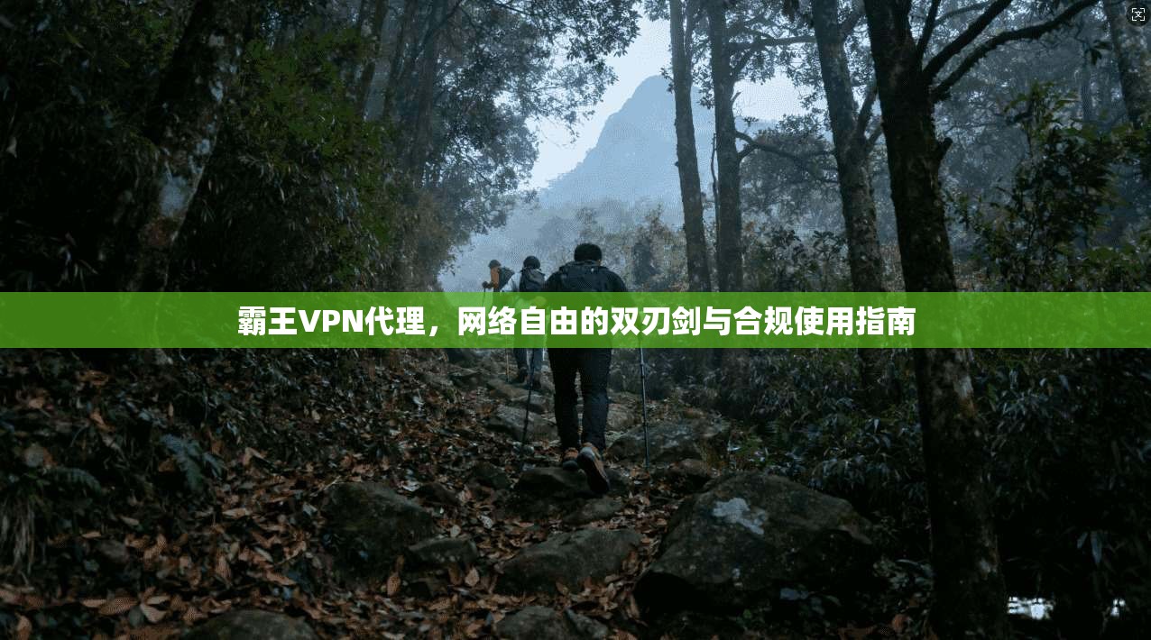 霸王VPN代理，网络自由的双刃剑与合规使用指南