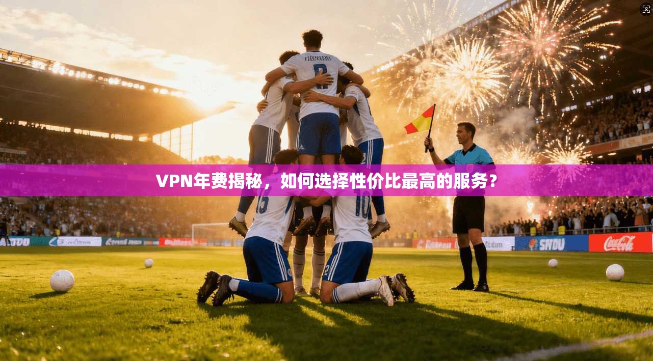 VPN年费揭秘，如何选择性价比最高的服务？